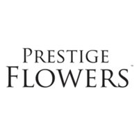 Check spelling or type a new query. Prestige Flowers Complaints Email Phone Resolver