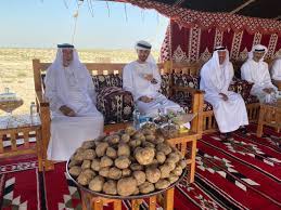 Khalifa bin zayed bin sultan al nahyan (arabic: Emirate Nachrichtenagentur Der Prasident Und Kronprinz Von Abu Dhabi Wandern Im Ghanadha Reservat Wald