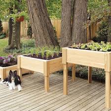 Search for results at searchandshopping.org. Raised Bed Gardens Grow Beds Garden Beds By Emily S Plants Emilysplants Com