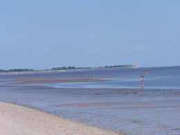 Bowers Beach Delaware Tide Chart Delaware Tide Charts