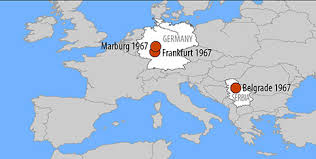 No antiviral medications have proved effective in treating infection with either ebola virus or marburg virus. 1967 Marburg Virus Outbreak In West Germany Wikipedia