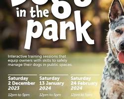 dog and owner at a park eventの画像