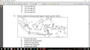 Kakak juga telah menyiapkan pembahasan dan kunci jawaban dari soal un ini semoga adik adik bisa mempelajarinya. Pembahasan Un Geografi 2017 No 21 25 Youtube
