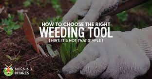 This tool can help you clear them all. 7 Best Weeding Tools To Free Your Garden From Annoying Weeds Easily
