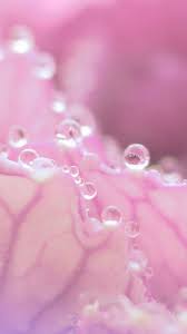 Shop affordable wall art to hang in dorms pink, blue, slime, water, drip, dripping, melting, liquid, alien, ice cream, dessert, food, cute, gooey, pastel red, black, sun, dripping, sunset, aesthetic, pinterest, ocean, water, drip, wallpaper. Pink Water Drops Wallpapers Wallpaper Cave