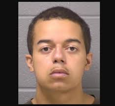 Knife At Channahon State Park Leads To 8 Charges For Local Teen