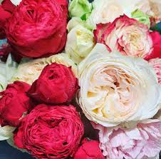 Cheap flowers bulk on alibaba.com when making attractive decorations that last a long time. Pin On Wholesale Flowers