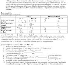 Dihybrid cross worksheet in rabbits, gray hair is dominant. These Questions Are For The Corn Genetics Lab Chegg Com