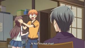 Kyo Tohru Fruits Basket Anime Fruits Basket Anime