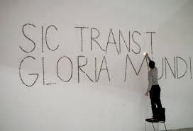 Mircea Cantor Yvon Lambert Further Education Mundi Cogito Ergo Sum