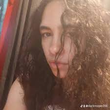 What is your ranking of this koala image?