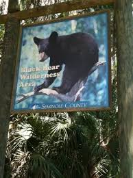 We did not find results for: A Walk On The Wild Side Hiking Black Bear Wilderness Area Adventures Of Mom