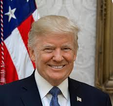 How Important are "The Issues"?