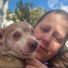 Hey, I'm new here. Hs anyone ever seen this with there dog female dog  before? I see it when she's done peeing, she doesn't cry or strain when  she's peeing or anything.