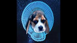 Resultado de imagen de pipo