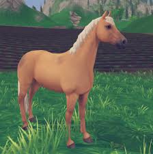 Grafikfilter können bilder bearbeiten und verfremden. Butterfly Star Stable Wiki Fandom