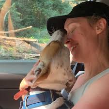 Fundraiser for Danielle Suttles by Andrea Taylor : Help Nell go to school  safely and with support!