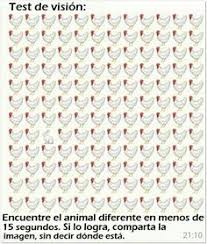 By theresa schimmel march 12, 2021. 48 Ideas De Adivinar Ejercicios Para La Mente Adivino Juegos Mentales