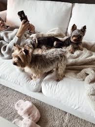 Looking for bianca ingrosso stickers? Sag Hej Till Lipton Bailey Rollo 3 Inredning Hem Inredning