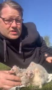 Owl centre's plea to help feed its animals