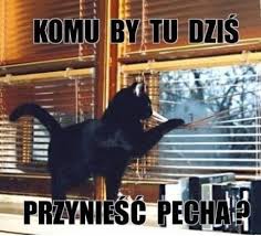 Waszym zadaniem jest zrobienie pracy o tematyce piątku pechowca w dowolny sposób. Piatek 13 Obrazki Zdjecia Na Facebook Obrazkionline