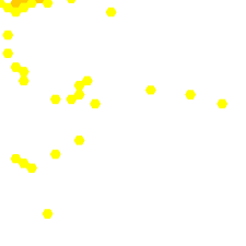 Image result for Argyrolobium stolzii