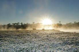 Maybe you would like to learn more about one of these? Redacao Agro Seu Portal De Noticias Agropecuarias