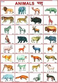 Creative bloq is supported by its audience. Pin On Animals