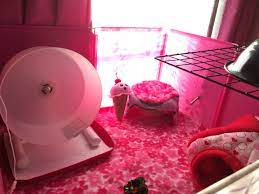 Pin On Hedgehog Cage Ideas Cute Fun Cage Accessories Diy Cage Accessories Ideas Helpful Info Tips On Hedgie Care Etc