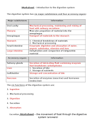 The purpose of these questions is to activate prior knowledge and get students thinking. Worksheet Introduction To The Digestive System Answers Docx Human Digestive System Stomach