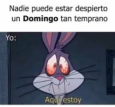 Carlos Linares Mendoza