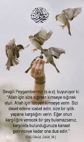 dr arif arslan arslan dr twitter ozlu sozler dualar anlamli alintilar