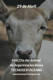 29 de abril día del animal | 🐶 🐰 ⁣⁣⁣ en argentina con ellos compartimos el mundo como pares, lo habitamos juntos. 29 De Abril Animals Goats