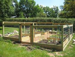 Home Gardening Design Ideas With Beautiful Raised Bed Gardening With Fen Vegetable Garden Raised Beds Garden Layout Vegetable Raised Bed Vegetable Garden Plans