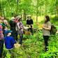 July Foraging Workshop