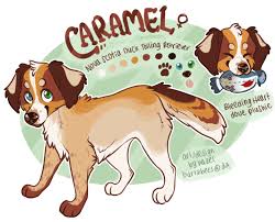 Caramel Ref By Burtzbees Deviantart Com On Deviantart Dog Design Art Cute Animal Drawings Puppy Art