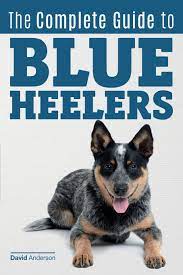 The Complete Guide To Blue Heelers Aka The Australian Cattle Dog Learn About Breeders Finding A Puppy Training Socialization Nutrition Grooming And Health Care Over 50 Pictures Included Anderson David 9781542802765