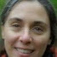 PDF) English/Spanish syntactic contrasts: minimalism and optimality