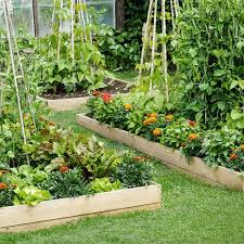 They keep pathway weeds from your garden soil, prevent soil compaction, provide good drainage and serve as a barrier to pests such as slugs and snails. All About Raised Bed Gardens This Old House