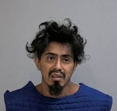 La Villa man kicked cat to death, said he had a gun when police went to  arrest him