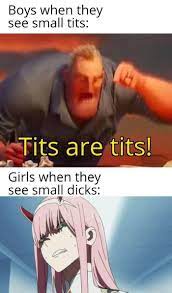 Tits are tits : r/meme