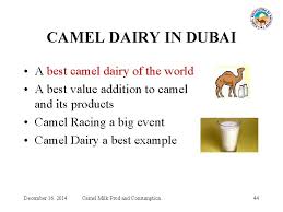 We work closely with selected camel breeders to ensure that the highest quality of camel milk is delivered. The Camel Milk Younas M 1 K Ishaq