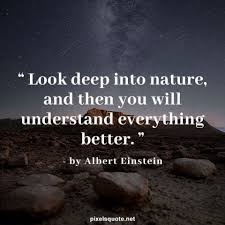 Some are even old enough to remember listening to the fireside chats of presid. 100 Best Nature Quotes With Images Pixelsquote Net