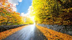 Wallpaper At Tulsa 1080p Background Nature Hd Wallpaper Download You can also upload and share your favorite nature background hd.