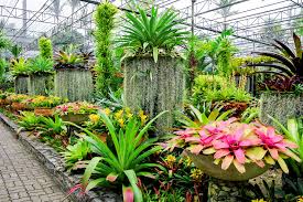 Send beautiful discount flowers, plants, & gifts guaranteed to impress at prices you'll love. Marvellous Orchid Wonderful Air Plants