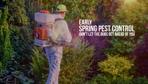 El paso's #1 pest control call and save today! Home Delta Pest Control Lawn Service