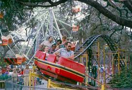 Lowry Park Zoo Old Days Tampa Florida Tampa Florida Attractions