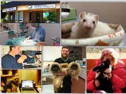 Check spelling or type a new query. Companion Animal Hospital Avian Exotic Clinic Reviews Facebook