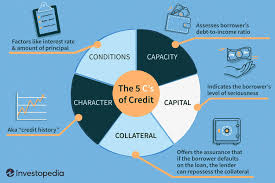 Risks should be systematically identified and reviewed to ensure those things, activities, situations, processes, etc. Five C S Of Credit Definition