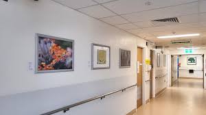Australian capital territory · 12 hospitals. 4r4xlnlo3jlz7m